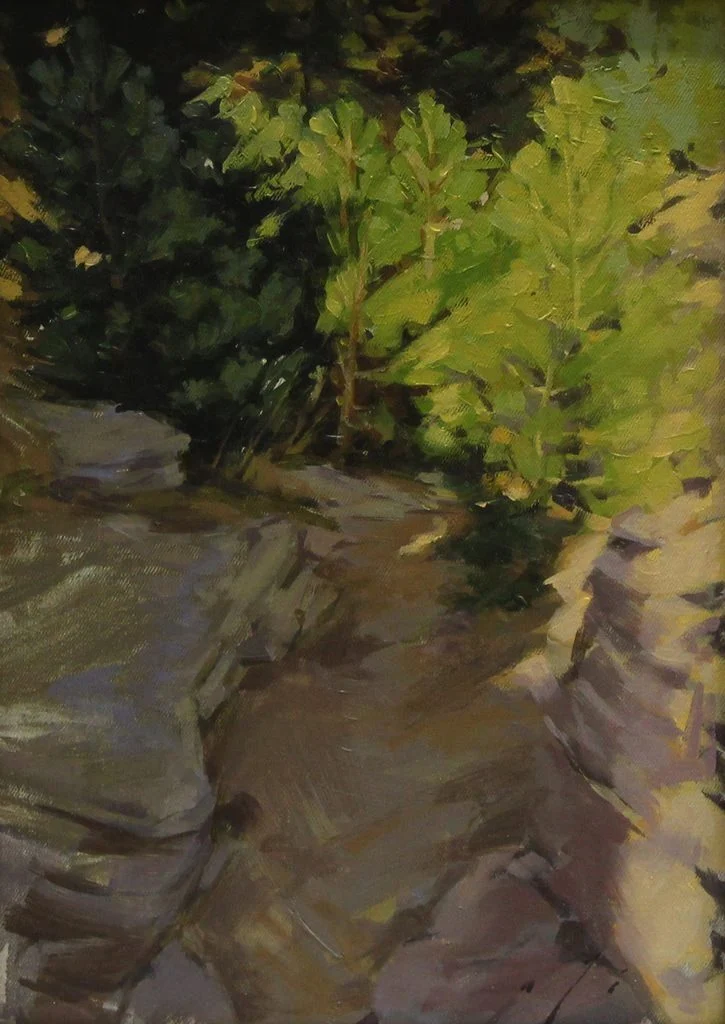 "İsimsiz" eseri ALİ ÖZHAN GÜNEŞ tarafından 2008 yılında 27x19 cm ölçülerinde Pres tuval üzeri yağlı boya tekniği ile yapılmıştır.