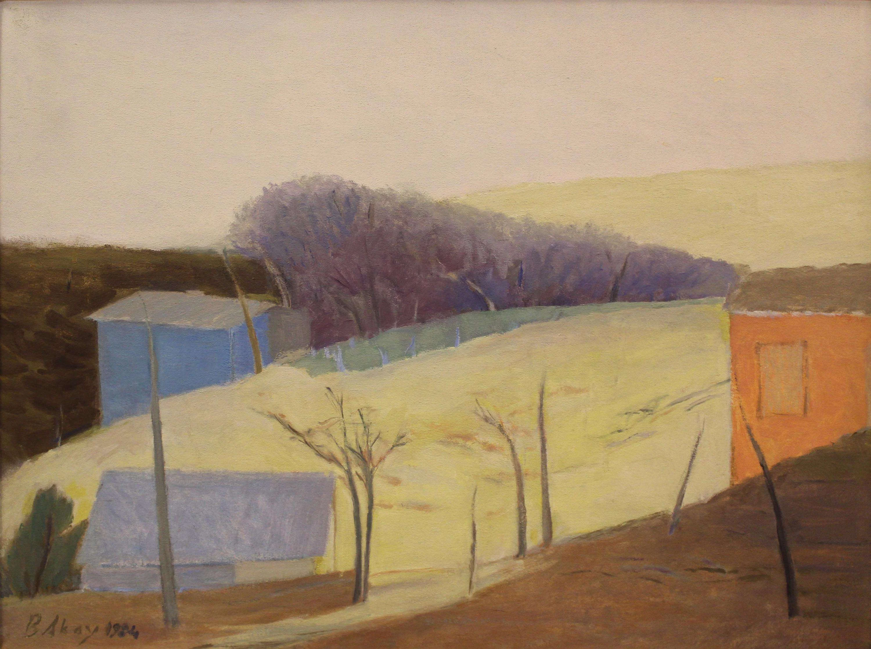 "İsimsiz" eseri BAHATTİN AKAY tarafından 1984 yılında 45x61 cm ölçülerinde Tuval üzeri yağlı boya tekniği ile yapılmıştır.