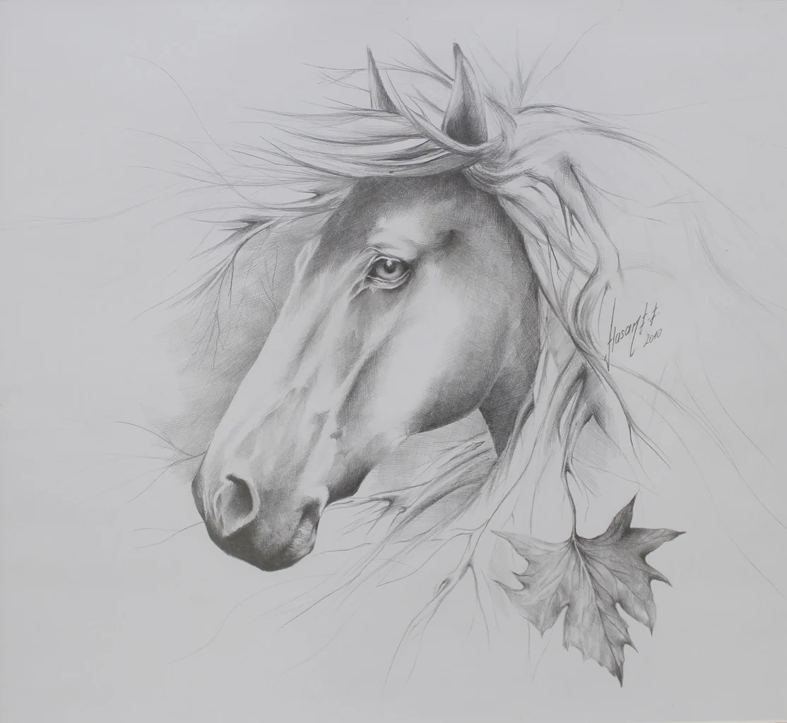 "İsimsiz" eseri BEHZAT FEYZULLAH tarafından 2010 yılında 34x36 cm ölçülerinde Kağıt üzeri kara kalem tekniği ile yapılmıştır.