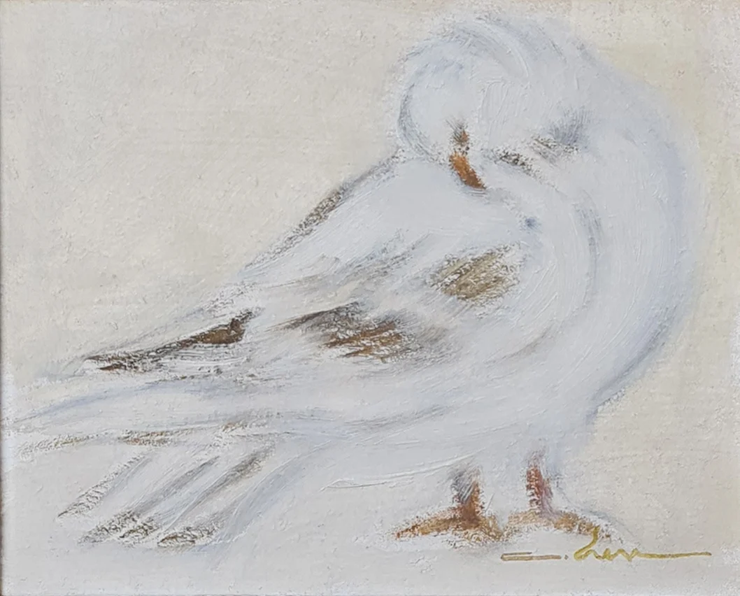 "Güvercin" eseri CEMİL EREN tarafından 25x30 cm ölçülerinde Tuval üzeri yağlı boya tekniği ile yapılmıştır.