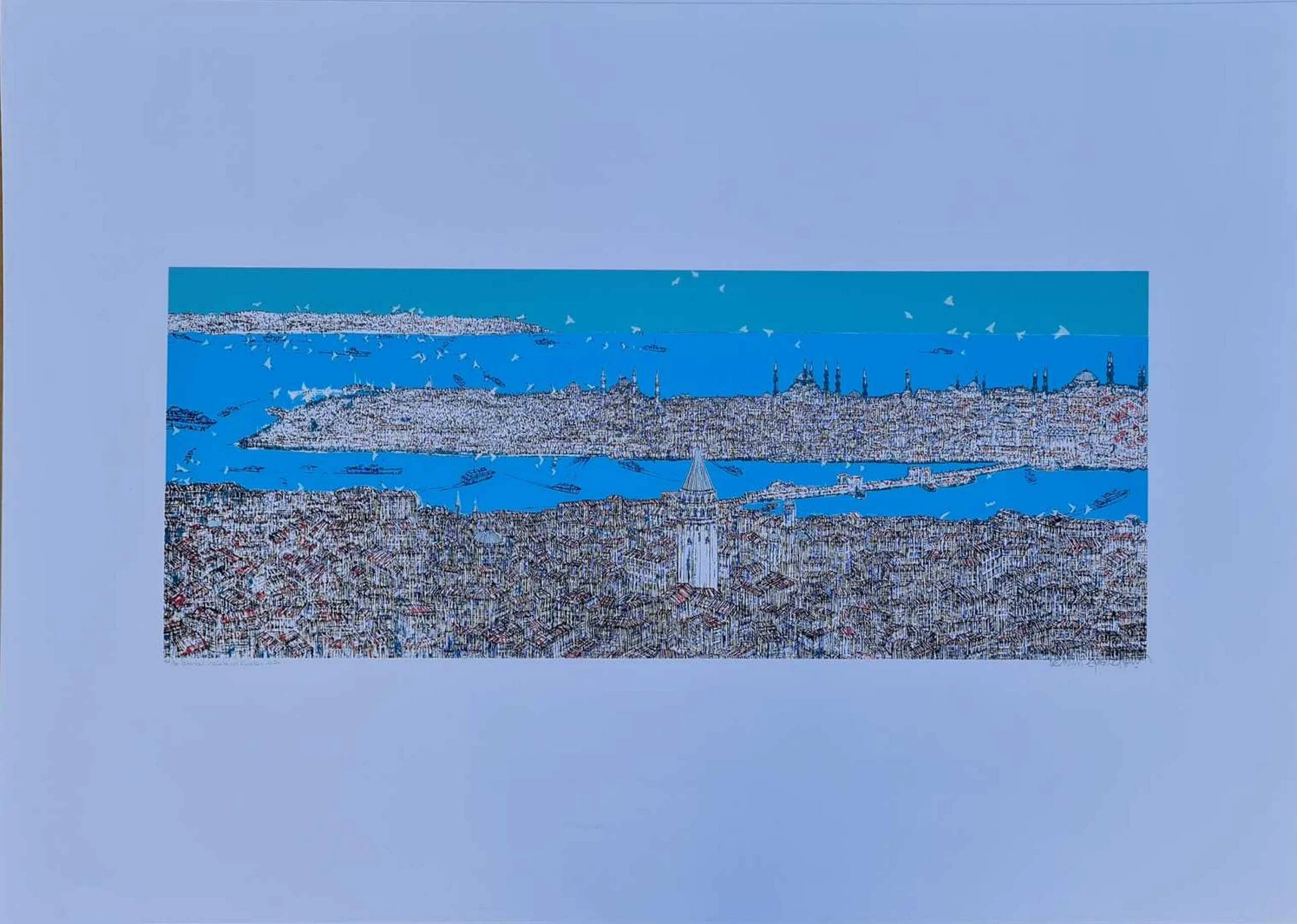 "İstanbul Galata'nın Kuşları" eseri DEVRİM ERBİL tarafından 2022 yılında 70x100 cm ölçülerinde Serigrafi tekniği ile yapılmıştır.