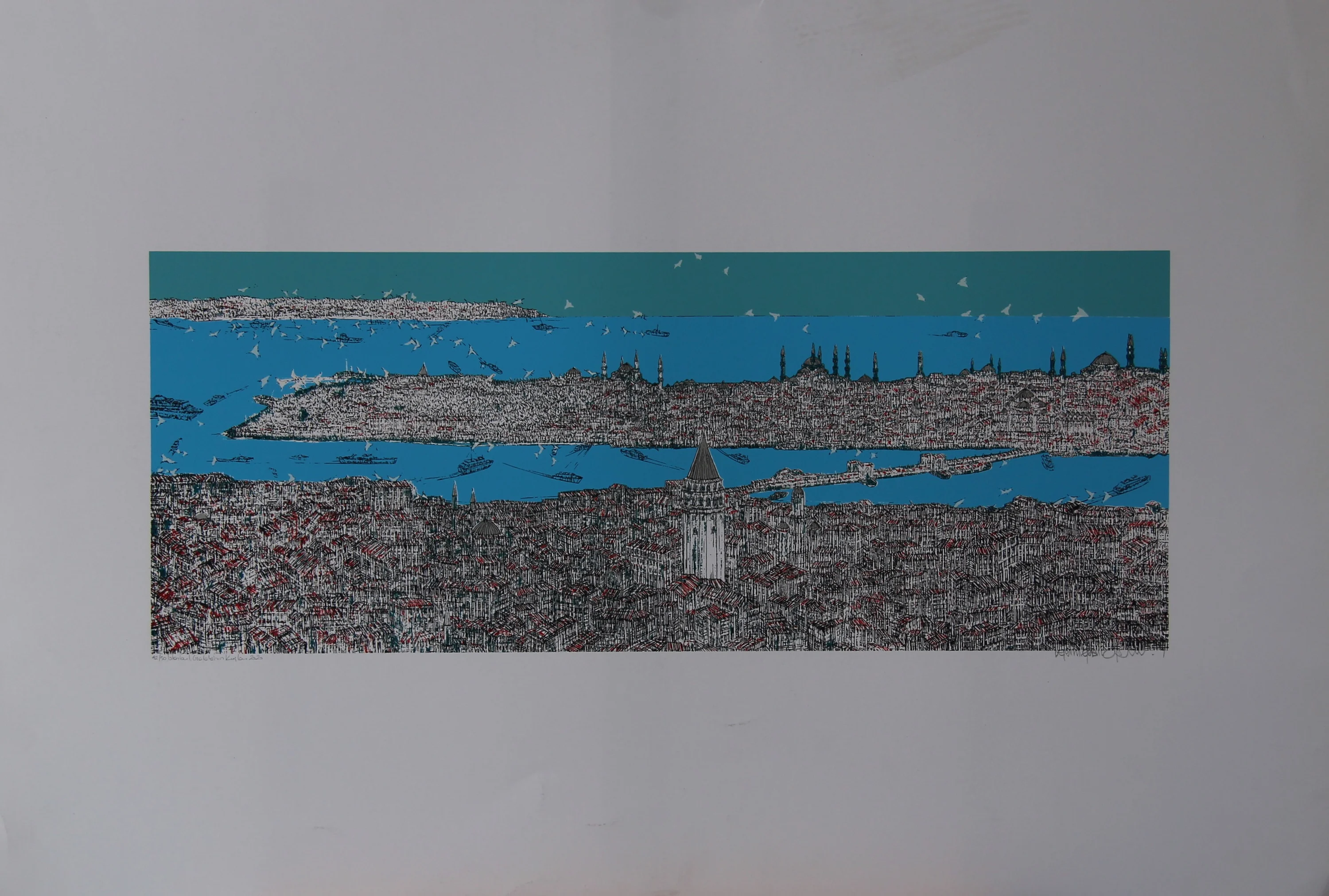 "İstanbul, Galata'nın Kuşları" eseri DEVRİM ERBİL tarafından 2020 yılında 70x100 cm ölçülerinde Serigrafi özgün baskı tekniği ile yapılmıştır.