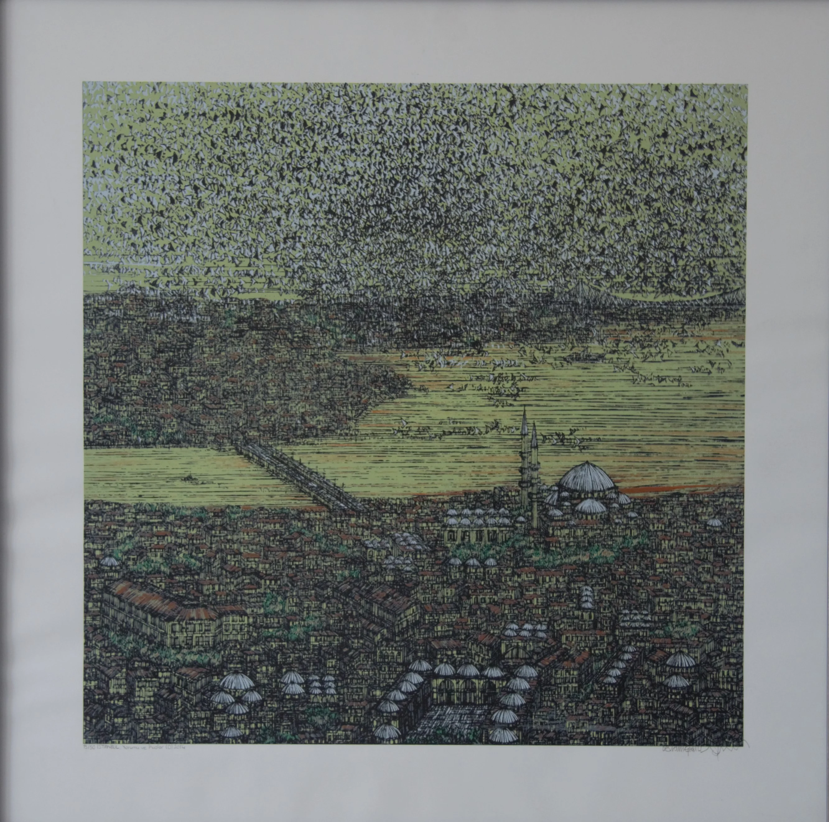 "İstanbul Yorum ve Kuşlar (D)" eseri DEVRİM ERBİL tarafından 2014 yılında 70x70 cm ölçülerinde Serigrafi özgün baskı tekniği ile yapılmıştır.