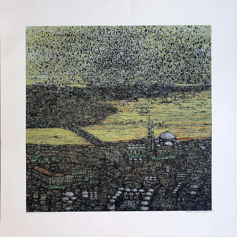 "İstanbul Yorumu ve Kuşlar" eseri DEVRİM ERBİL tarafından 2014 yılında 70x70 cm ölçülerinde Serigrafi tekniği ile yapılmıştır.