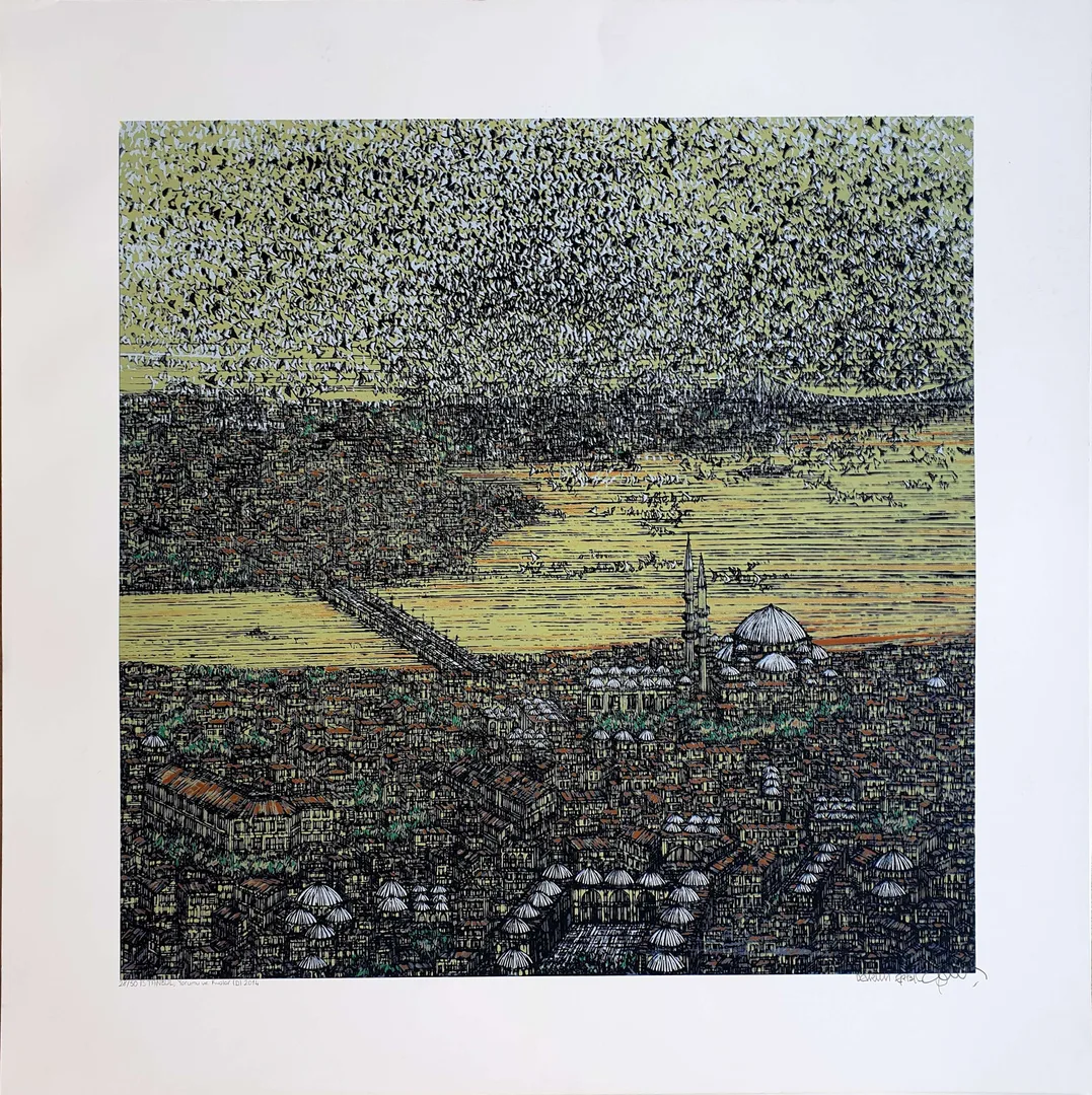 "İstanbul Yorumu ve Kuşlar" eseri DEVRİM ERBİL tarafından 2014 yılında 70x70 cm ölçülerinde Serigrafi tekniği ile yapılmıştır.