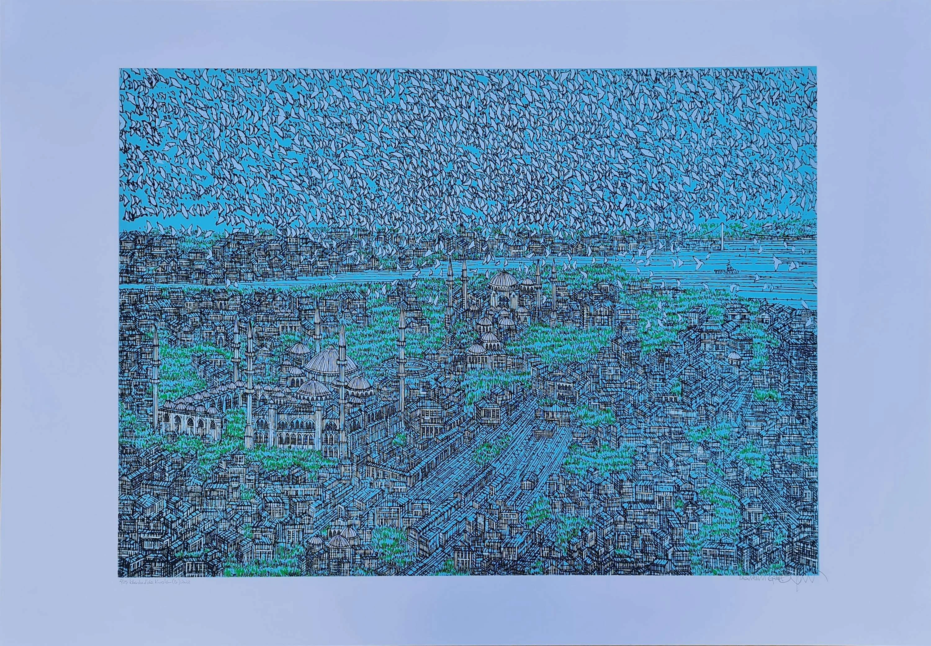 "İstanbul^da Kuşlar" eseri DEVRİM ERBİL tarafından 2022 yılında 70x100 cm ölçülerinde Serigrafi tekniği ile yapılmıştır.