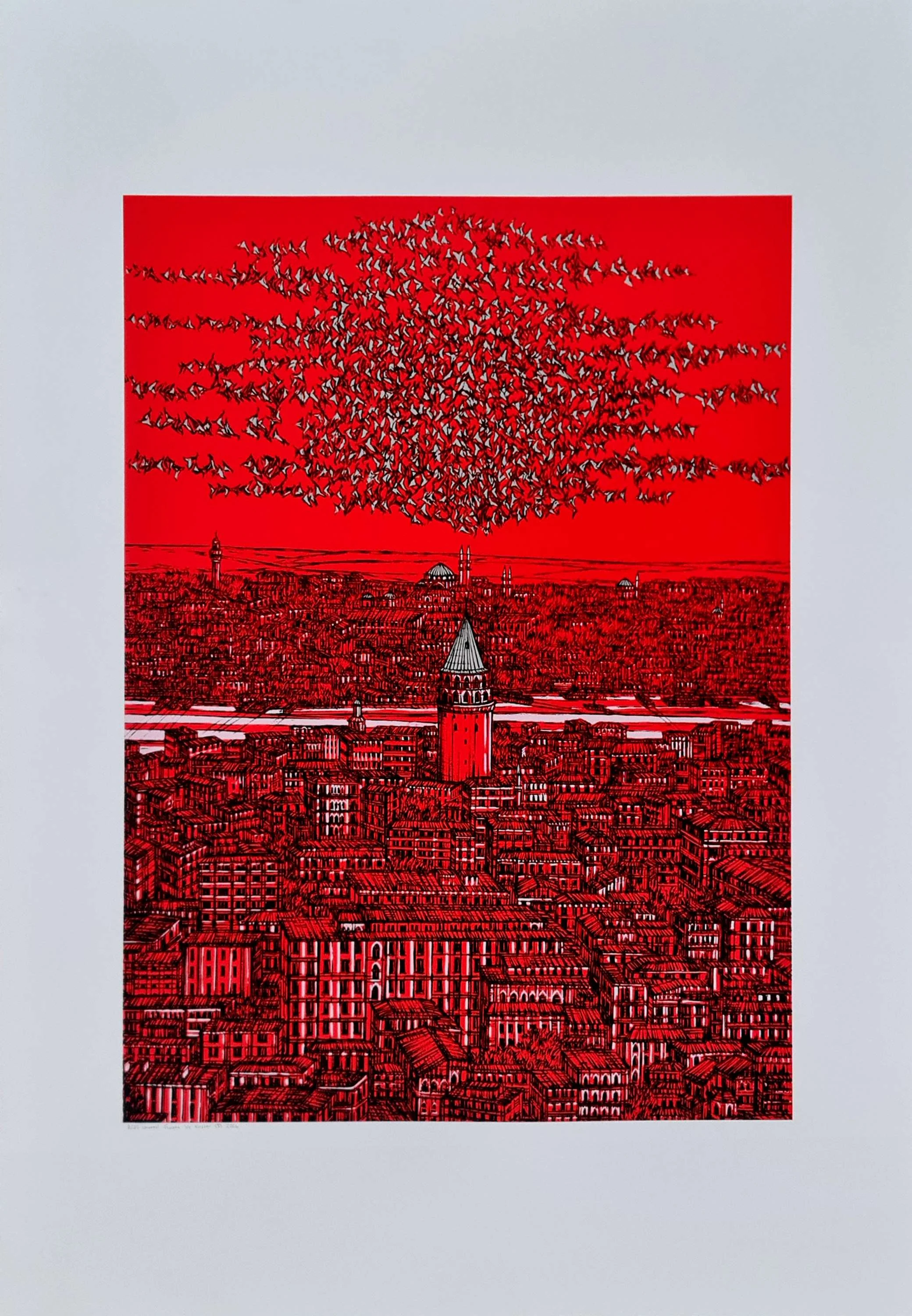 "İstanbul Galata ve Kuşlar (B)" eseri DEVRİM ERBİL tarafından 2024 yılında 100x70 cm ölçülerinde Serigrafi tekniği ile yapılmıştır.