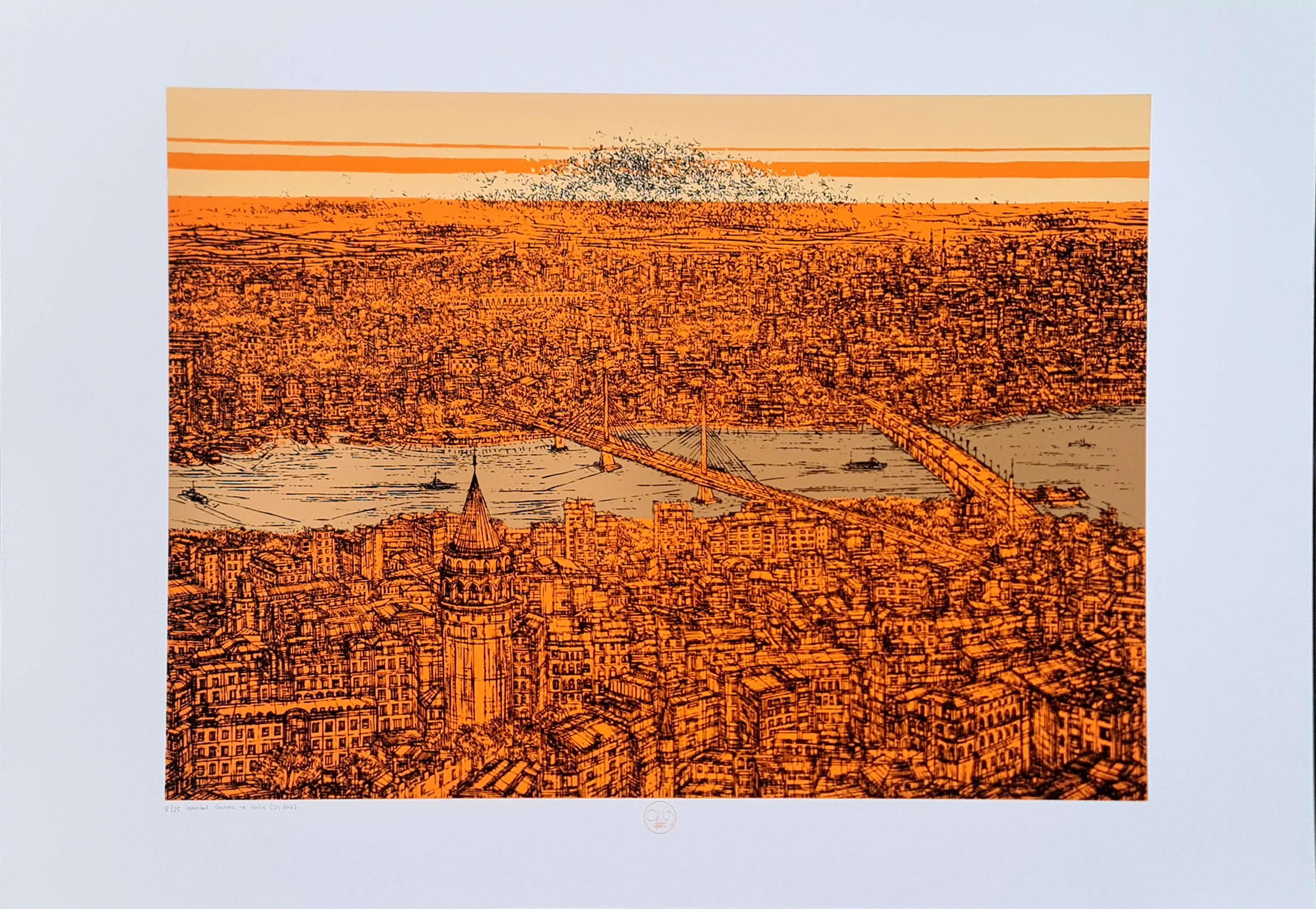 "İstanbul Galata ve Haliç (D)" eseri DEVRİM ERBİL tarafından 2023 yılında 70x100 cm ölçülerinde Serigrafi tekniği ile yapılmıştır.