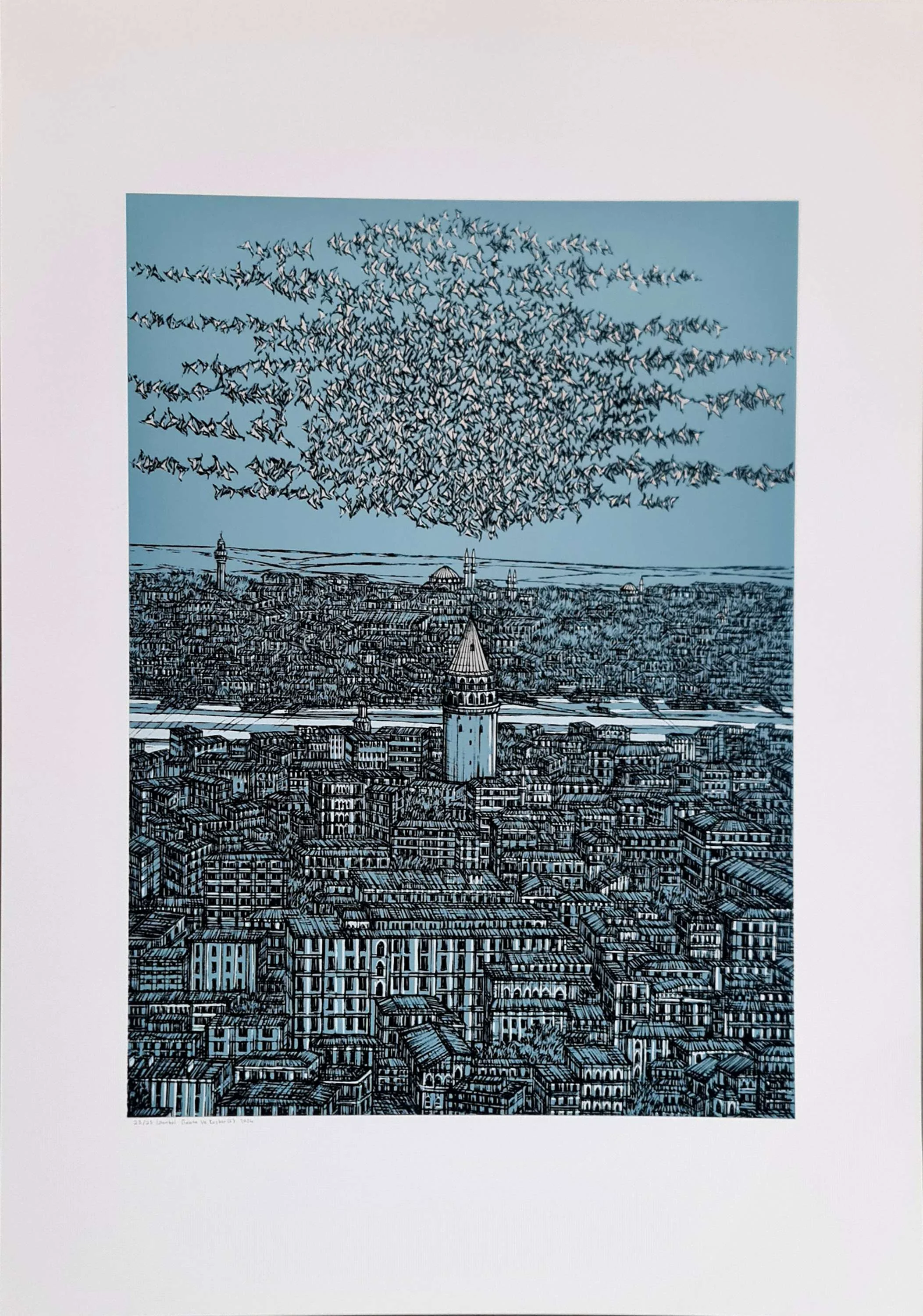 "İstanbul Galata ve Kuşlar (E)" eseri DEVRİM ERBİL tarafından 2024 yılında 100x70 cm ölçülerinde Serigrafi tekniği ile yapılmıştır.