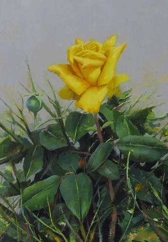 "Sarı Gül" eseri FATİH KARAKAŞ tarafından 2014 yılında 37x26 cm ölçülerinde Tuval üzeri yağlı boya tekniği ile yapılmıştır.