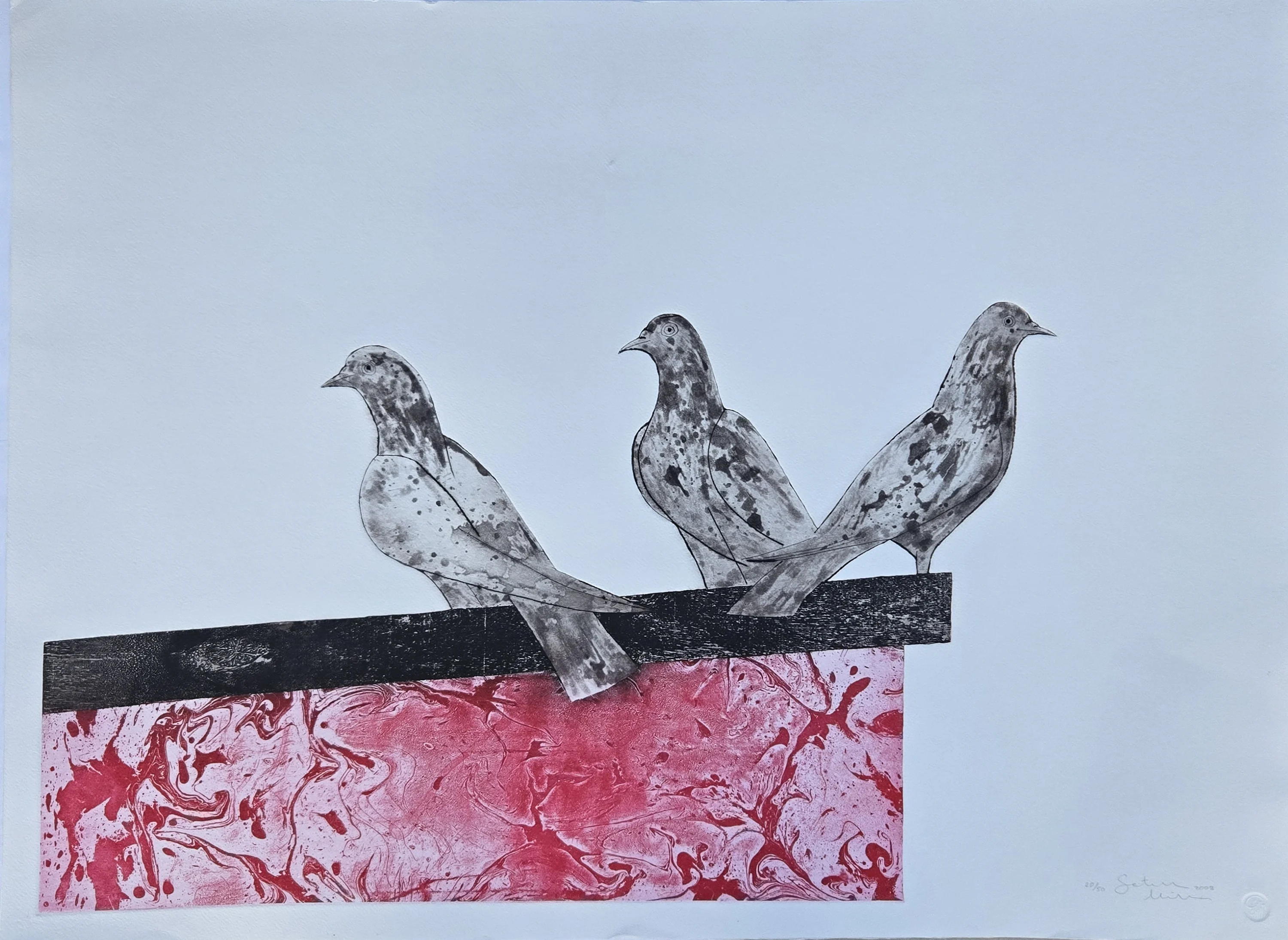 "Güvercinler" eseri FATİH MİKA tarafından 2008 yılında 60x80 cm ölçülerinde Gravür tekniği ile yapılmıştır.