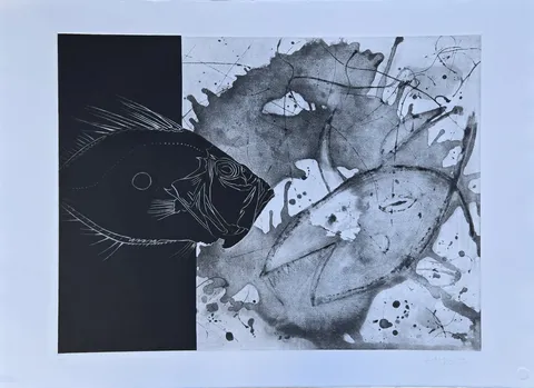 "Balıklar" eseri FATİH MİKA tarafından 2001 yılında 60x81 cm ölçülerinde Gravür tekniği ile yapılmıştır.