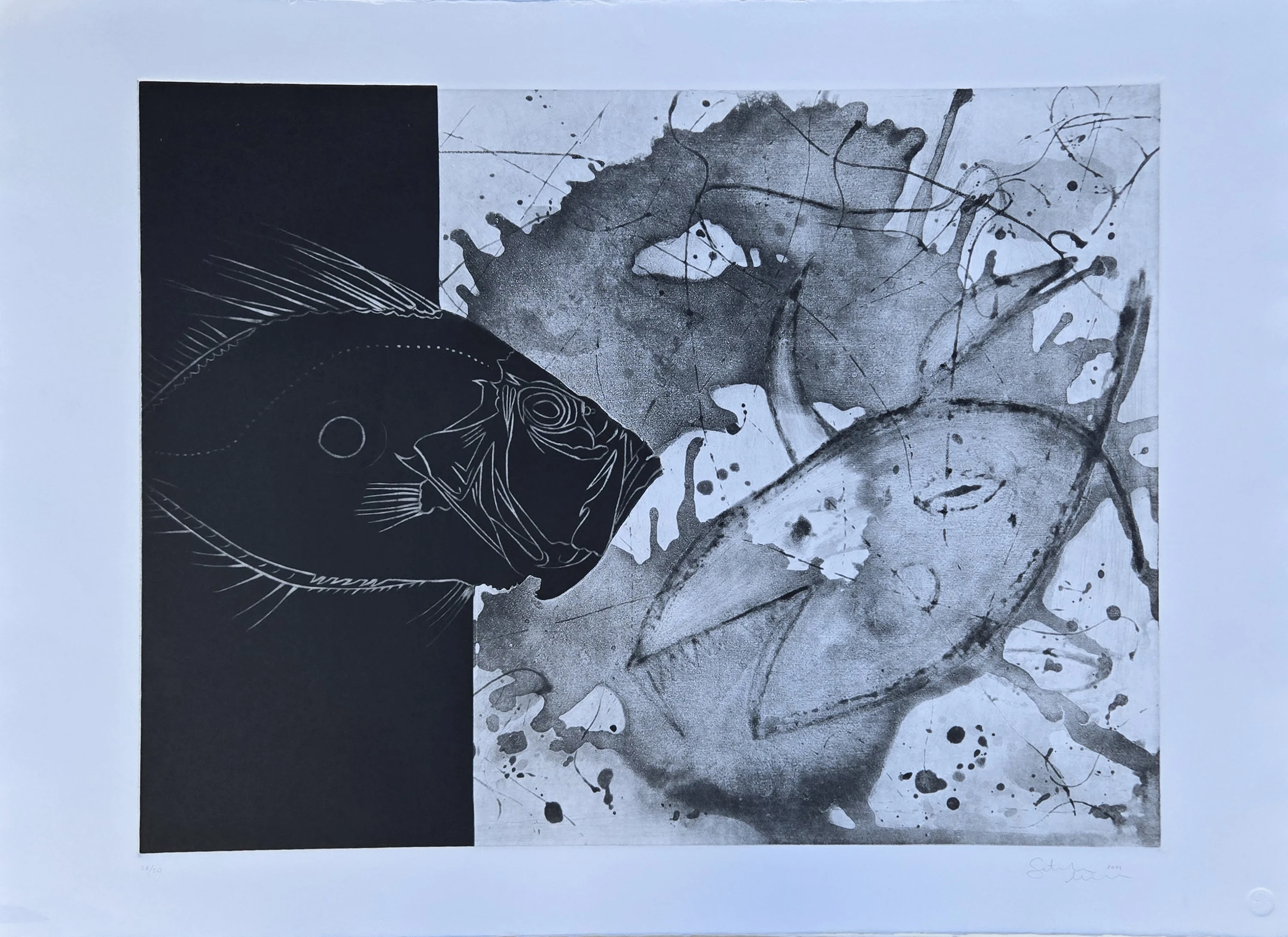 "Balıklar" eseri FATİH MİKA tarafından 2001 yılında 60x81 cm ölçülerinde Gravür tekniği ile yapılmıştır.
