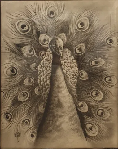 KENAN DEĞER — “Tavus Kuşu”, 1990 "Tavus Kuşu" eseri KENAN DEĞER tarafından 1990 yılında 56x45 cm ölçülerinde Kağıt üzeri kara kalem tekniği ile yapılmıştır.