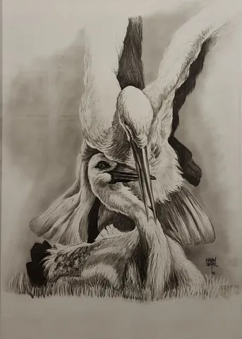 KENAN DEĞER — “Leylekler”, 1993 "Leylekler" eseri KENAN DEĞER tarafından 1993 yılında 68x48 cm ölçülerinde Kağıt üzeri kara kalem tekniği ile yapılmıştır.
