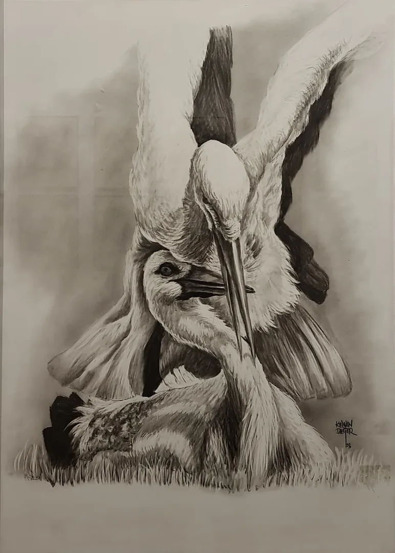 "Leylekler" eseri KENAN DEĞER tarafından 1993 yılında 68x48 cm ölçülerinde Kağıt üzeri kara kalem tekniği ile yapılmıştır.