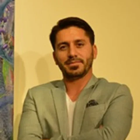 ALİ İRGİN