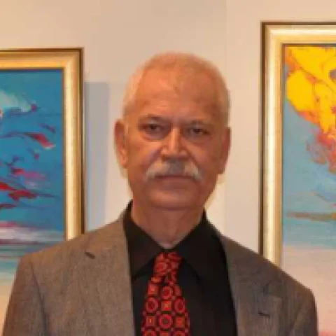NUMAN ARSLAN