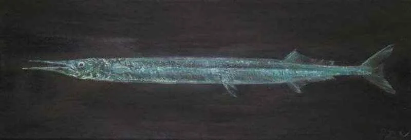 EMRE BAYKAL — “isimsiz” EMRE BAYKAL — isimsiz