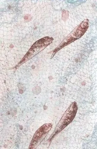 FATİH MİKA — isimsiz