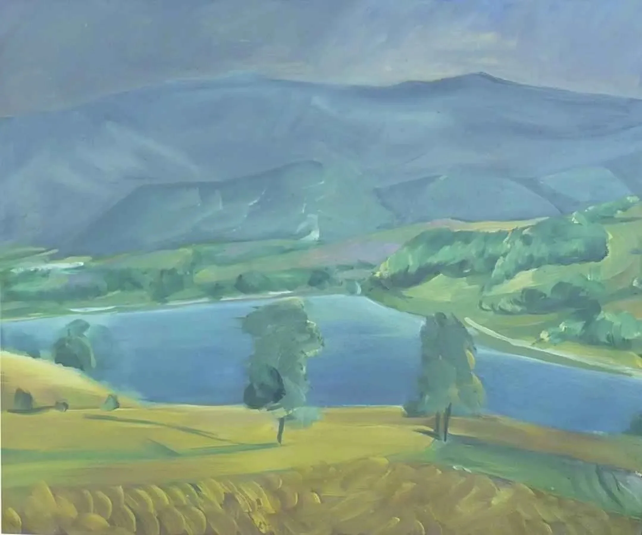 "Gölköy Sırtlarından" eseri MEHMET ALAGÖZ tarafından 2010 yılında 90x110 cm ölçülerinde Tuval üzeri yağlı boya tekniği ile yapılmıştır.