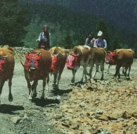 "isimsiz" eseri ATİLLA ALP BÖLÜKBAŞI tarafından 20x20 cm ölçülerinde yapılmıştır.