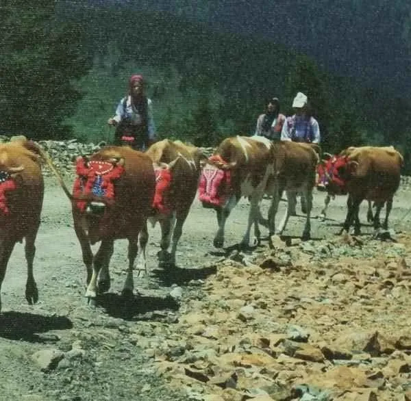 "isimsiz" eseri ATİLLA ALP BÖLÜKBAŞI tarafından 20x20 cm ölçülerinde yapılmıştır.