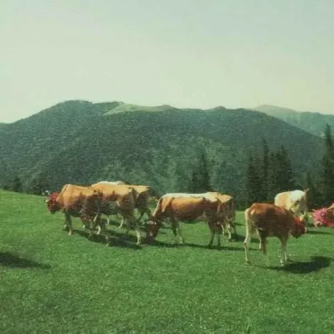 "isimsiz" eseri ATİLLA ALP BÖLÜKBAŞI tarafından 20x20 cm ölçülerinde yapılmıştır.