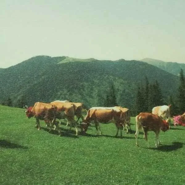 "isimsiz" eseri ATİLLA ALP BÖLÜKBAŞI tarafından 20x20 cm ölçülerinde yapılmıştır.