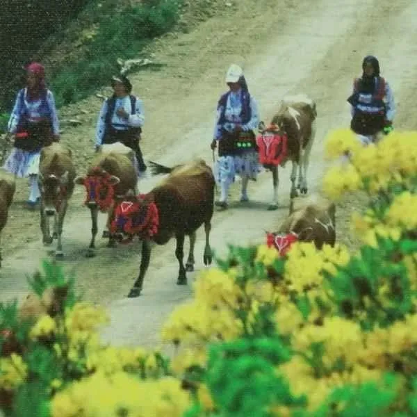 "isimsiz" eseri ATİLLA ALP BÖLÜKBAŞI tarafından 20x20 cm ölçülerinde yapılmıştır.