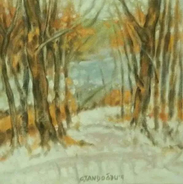 "isimsiz" eseri CELALETTİN TANDOĞDU tarafından 20x20 cm ölçülerinde yapılmıştır.