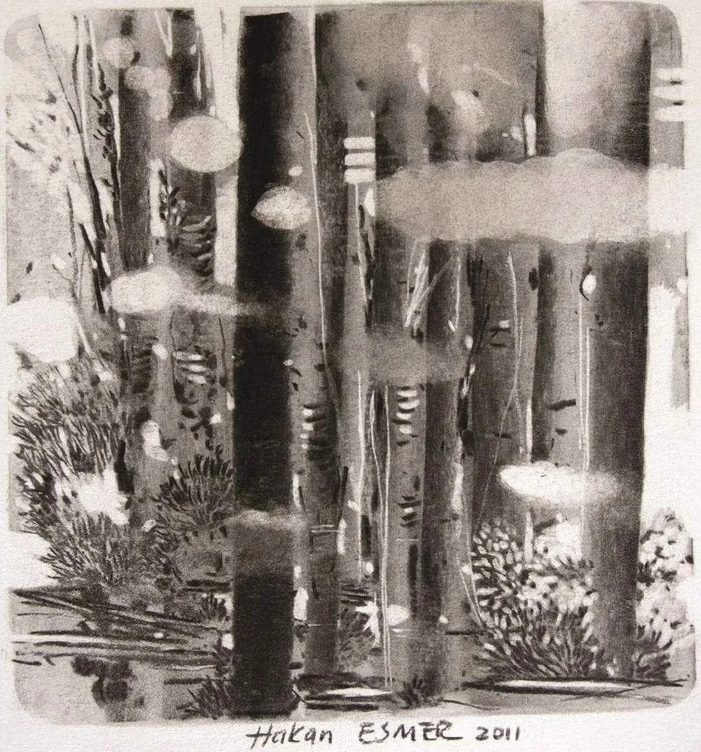 yakınlaştır "isimsiz" eseri HAKAN ESMER tarafından 2011 yılında 21x21 cm ölçülerinde Tuval üzeri yağlı boya tekniği ile yapılmıştır.