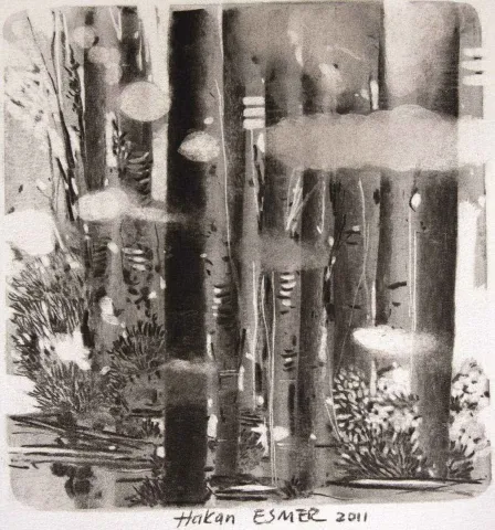 "isimsiz" eseri HAKAN ESMER tarafından 2011 yılında 21x21 cm ölçülerinde Tuval üzeri yağlı boya tekniği ile yapılmıştır.