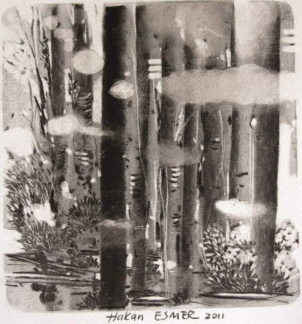 yakınlaştır "isimsiz" eseri HAKAN ESMER tarafından 2011 yılında 21x21 cm ölçülerinde Tuval üzeri yağlı boya tekniği ile yapılmıştır.
