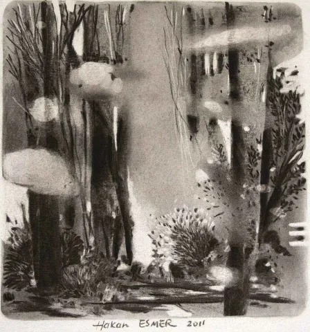 "isimsiz" eseri HAKAN ESMER tarafından 2011 yılında 21x21 cm ölçülerinde Tuval üzeri yağlı boya tekniği ile yapılmıştır.