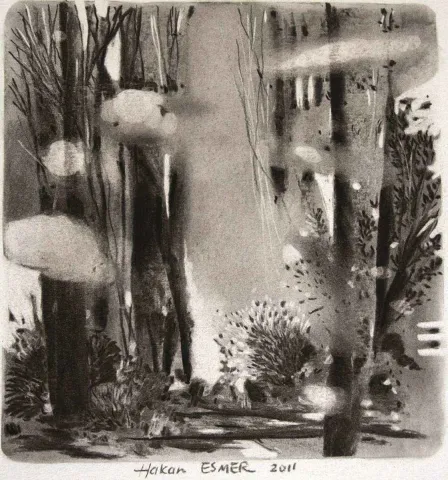 "isimsiz" eseri HAKAN ESMER tarafından 2011 yılında 21x21 cm ölçülerinde Tuval üzeri yağlı boya tekniği ile yapılmıştır.