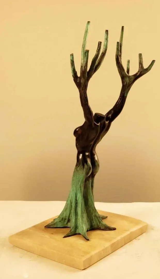 yakınlaştır "Female Tree" eseri ALEXANDER DAVİDOV tarafından 2013 yılında 38x20x16 cm ölçülerinde Bronz tekniği ile yapılmıştır.