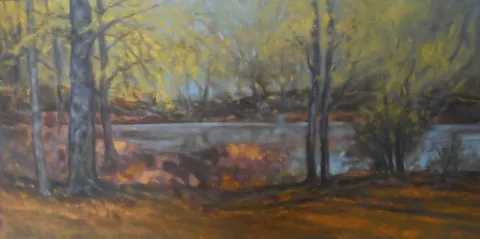 "Görünüm" eseri CELALETTİN TANDOĞDU tarafından 2013 yılında 30x60 cm ölçülerinde Tuval üzeri yağlı boya tekniği ile yapılmıştır.