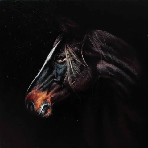 "isimsiz" eseri BEHZAT FEYZULLAH tarafından 2014 yılında 40x40 cm ölçülerinde Tuval üzeri yağlı boya tekniği ile yapılmıştır.