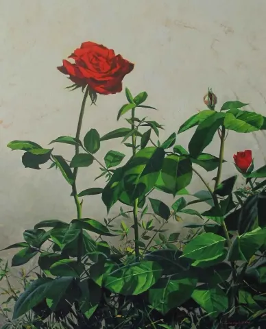 "Kırmızı" eseri FATİH KARAKAŞ tarafından 2014 yılında 80x65 cm ölçülerinde Tuval üzeri yağlı boya tekniği ile yapılmıştır.