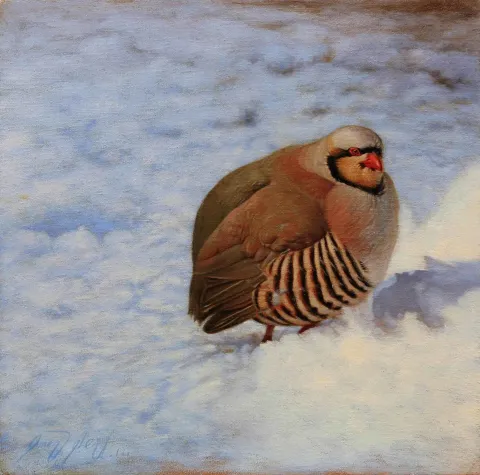 ÖMER EKEN — “Karda Keklik”, 2014 "Karda Keklik" eseri ÖMER EKEN tarafından 2014 yılında 40x40 cm ölçülerinde Tuval üzeri yağlı boya tekniği ile yapılmıştır.