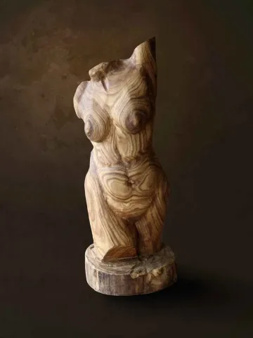 AZİMET KARAMAN — “Tors”, 2014 "Tors" eseri AZİMET KARAMAN tarafından 2014 yılında 66x27x27 cm ölçülerinde Ahşap Yontu tekniği ile yapılmıştır.