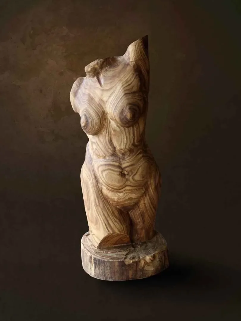 "Tors" eseri AZİMET KARAMAN tarafından 2014 yılında 66x27x27 cm ölçülerinde Ahşap Yontu tekniği ile yapılmıştır.