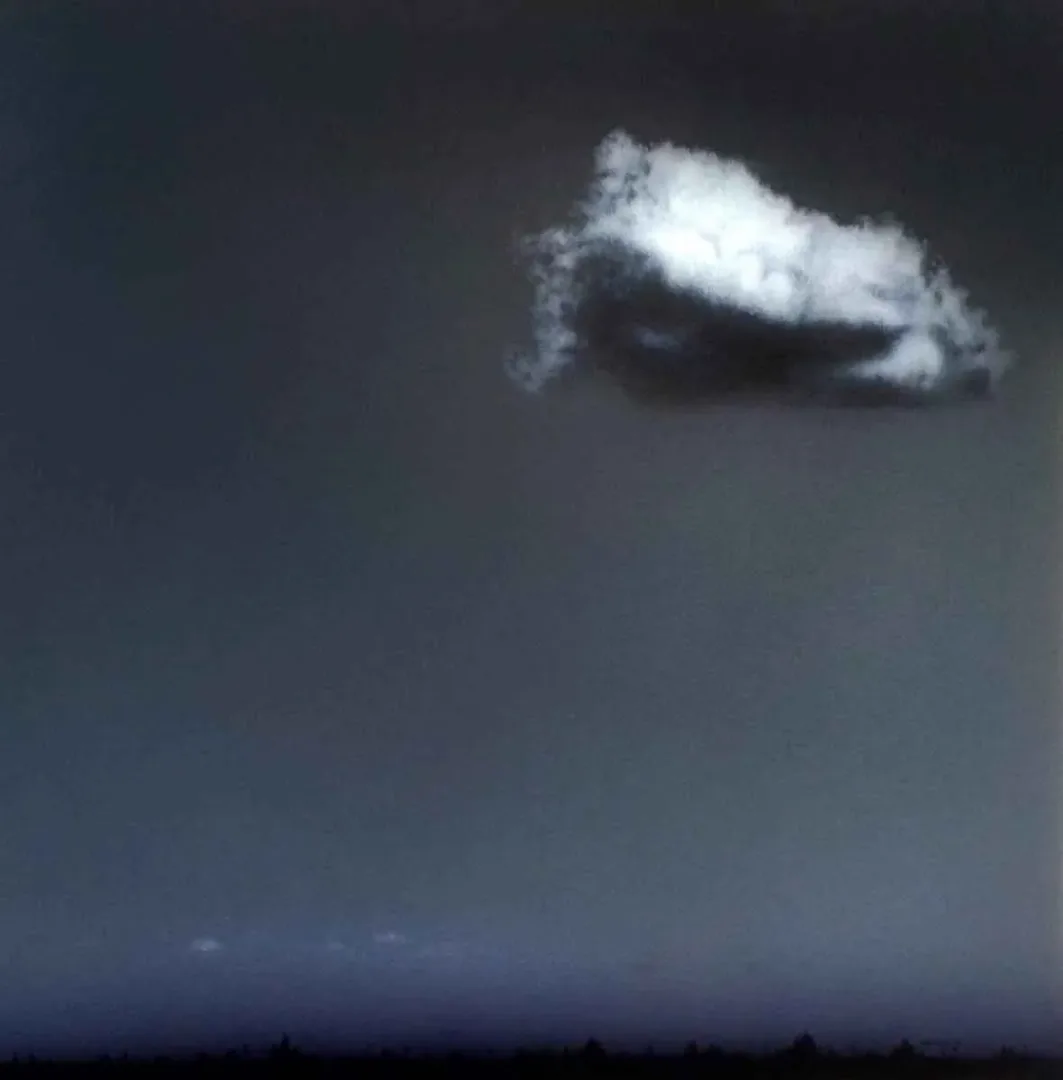 METİN KALKIZOĞLU — “isimsiz”, 2013 "isimsiz" eseri METİN KALKIZOĞLU tarafından 2013 yılında 30x30 cm ölçülerinde Tuval üzeri akrilik boya tekniği ile yapılmıştır.