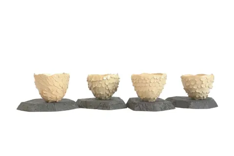 "Çanaklar" eseri HASAN İN tarafından 2013 yılında 20x18 cm ölçülerinde Seramik tekniği ile yapılmıştır.