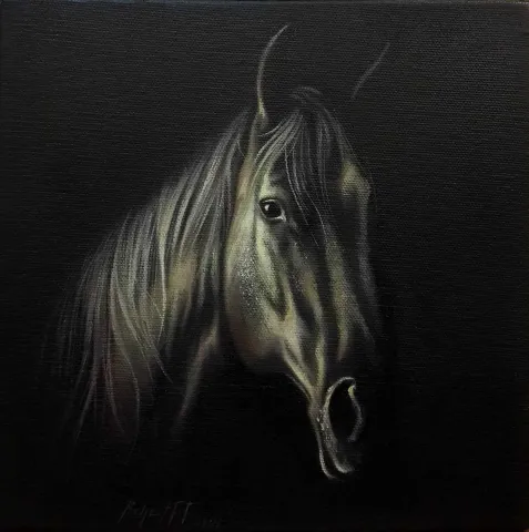 Bu eser BEHZAT FEYZULLAH tarafından 2014 yılında 20x20 cm ölçülerinde Tuval üzeri yağlı boya tekniği ile yapılmıştır.