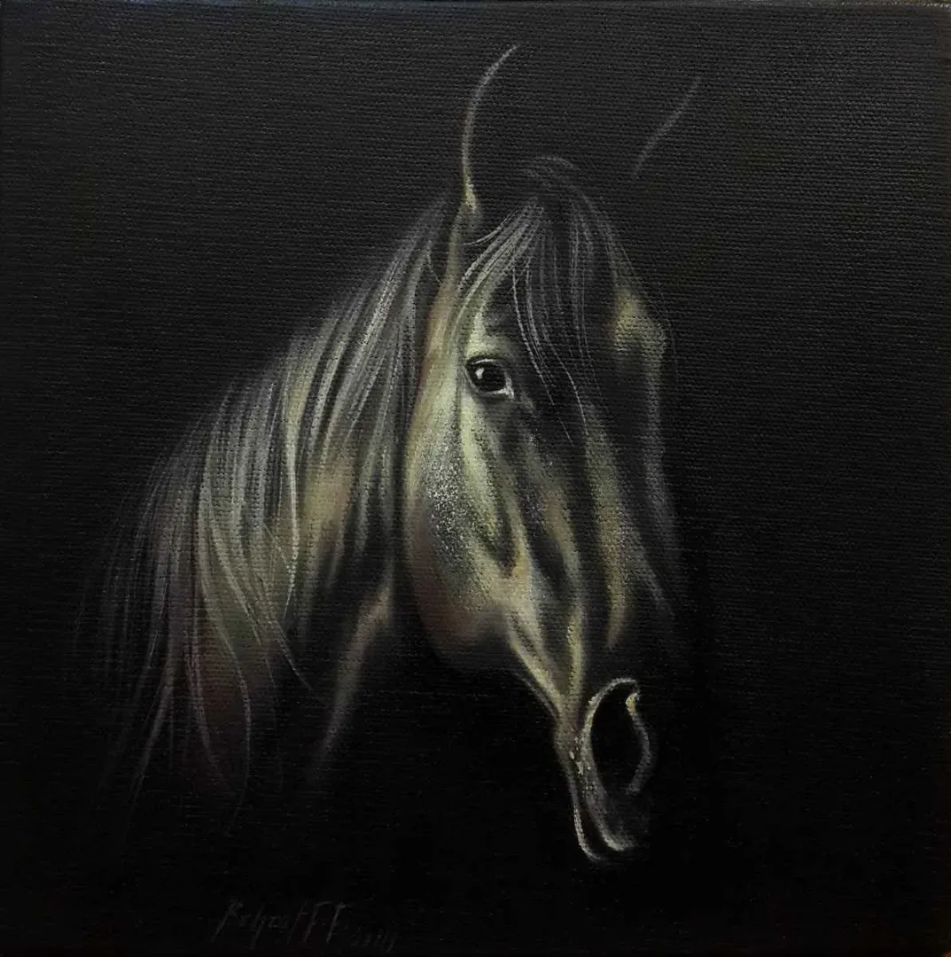 Bu eser BEHZAT FEYZULLAH tarafından 2014 yılında 20x20 cm ölçülerinde Tuval üzeri yağlı boya tekniği ile yapılmıştır.