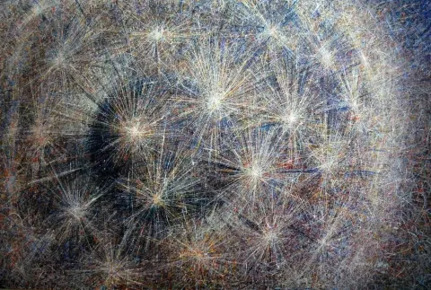 NEVRES AKIN — “isimsiz”, 2014 "isimsiz" eseri NEVRES AKIN tarafından 2014 yılında 140x200 cm ölçülerinde Tuval üzeri yağlı boya tekniği ile yapılmıştır.