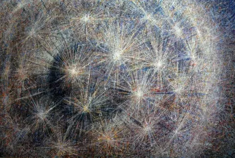 "isimsiz" eseri NEVRES AKIN tarafından 2014 yılında 140x200 cm ölçülerinde Tuval üzeri yağlı boya tekniği ile yapılmıştır.