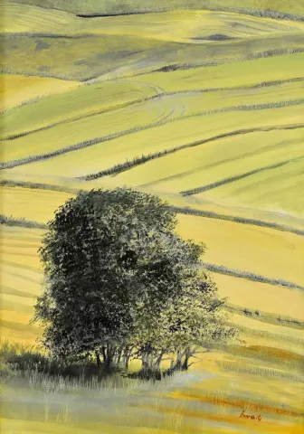 "İsimsiz" eseri BORA YILMAZYİĞİT tarafından 50x35 cm ölçülerinde Tuval üzeri yağlı boya tekniği ile yapılmıştır.